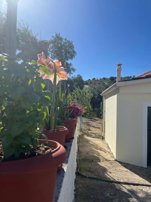 Alex House Daire Parga Dış mekan fotoğraf