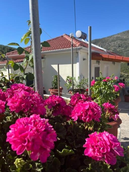 Alex House Daire Parga Dış mekan fotoğraf